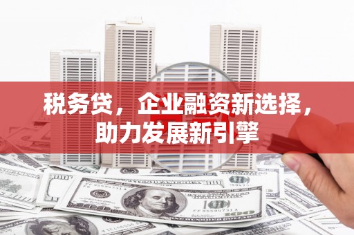 工布江达税务贷，企业融资新选择，助力发展新引擎