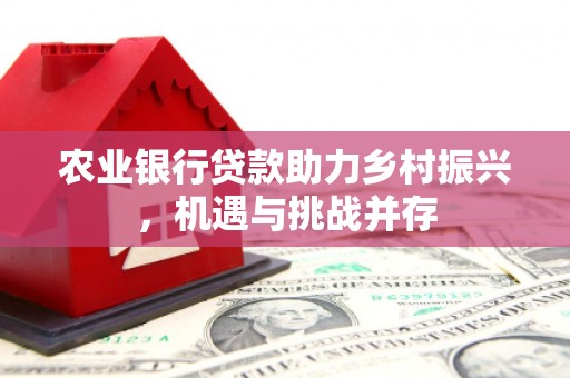 工布江达农业银行贷款助力乡村振兴，机遇与挑战并存