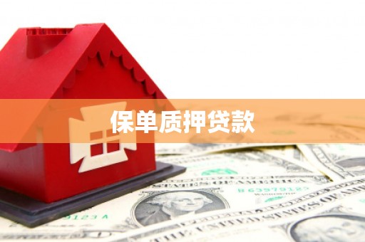 工布江达保单质押贷款