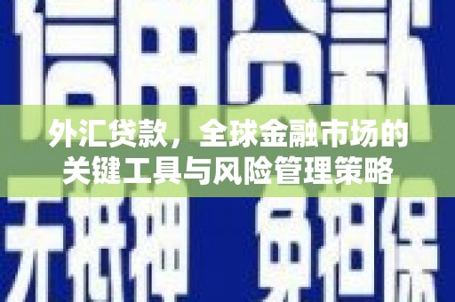 工布江达外汇贷款，全球金融市场的关键工具与风险管理策略
