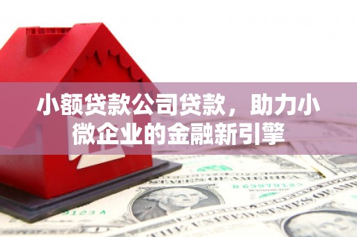 工布江达小额贷款公司贷款，助力小微企业的金融新引擎