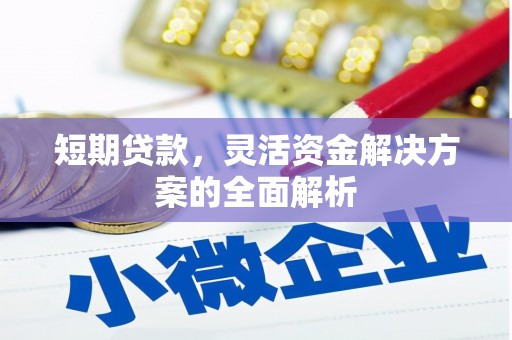 工布江达短期贷款，灵活资金解决方案的全面解析