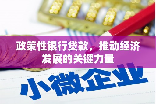 工布江达政策性银行贷款，推动经济发展的关键力量