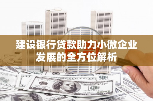 工布江达建设银行贷款助力小微企业发展的全方位解析