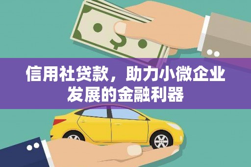 工布江达信用社贷款，助力小微企业发展的金融利器