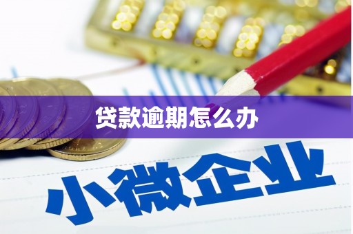 工布江达贷款逾期怎么办