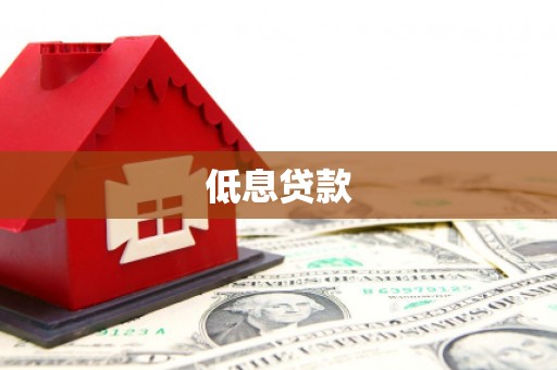 工布江达低息贷款