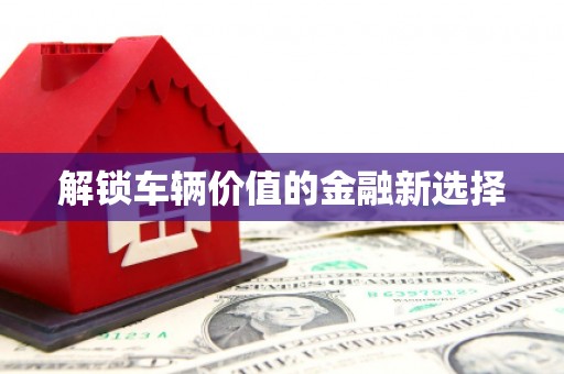 工布江达解锁车辆价值的金融新选择