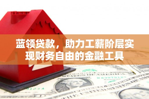 工布江达蓝领贷款，助力工薪阶层实现财务自由的金融工具