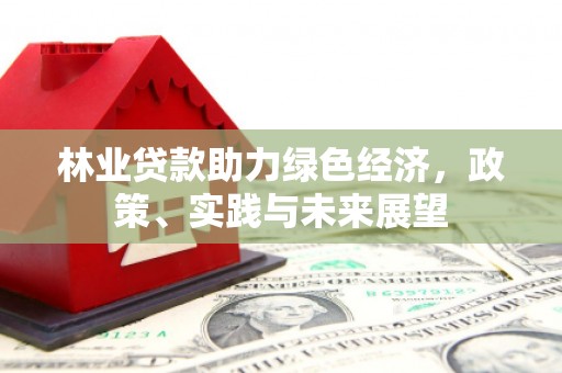 工布江达林业贷款助力绿色经济，政策、实践与未来展望