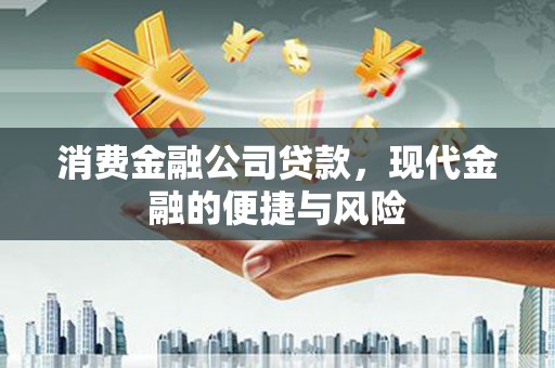 工布江达消费金融公司贷款，现代金融的便捷与风险