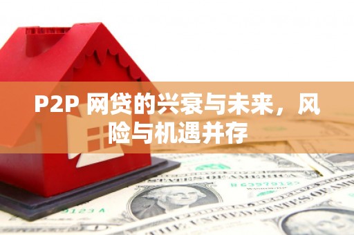 工布江达P2P 网贷的兴衰与未来，风险与机遇并存