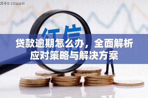 工布江达贷款逾期怎么办，全面解析应对策略与解决方案