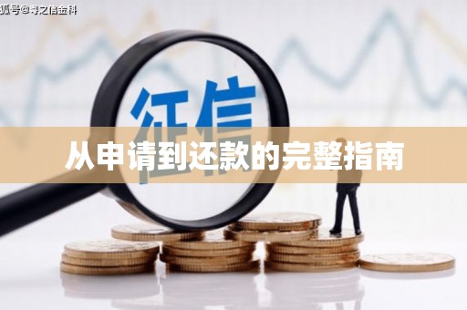 工布江达从申请到还款的完整指南