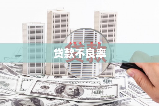 工布江达贷款不良率