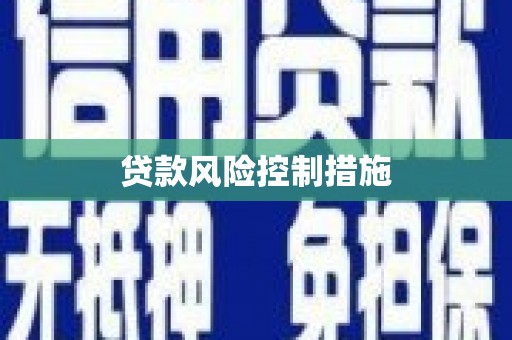 工布江达贷款风险控制措施