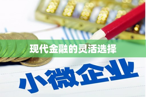 工布江达现代金融的灵活选择