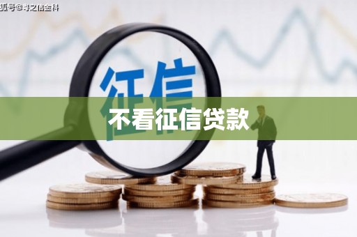 工布江达不看征信贷款