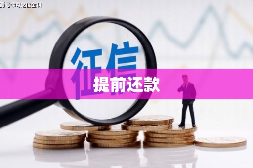 工布江达提前还款