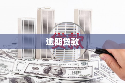 工布江达逾期贷款